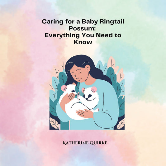 Caring for a Baby Ringtail Possum | Instant Download
