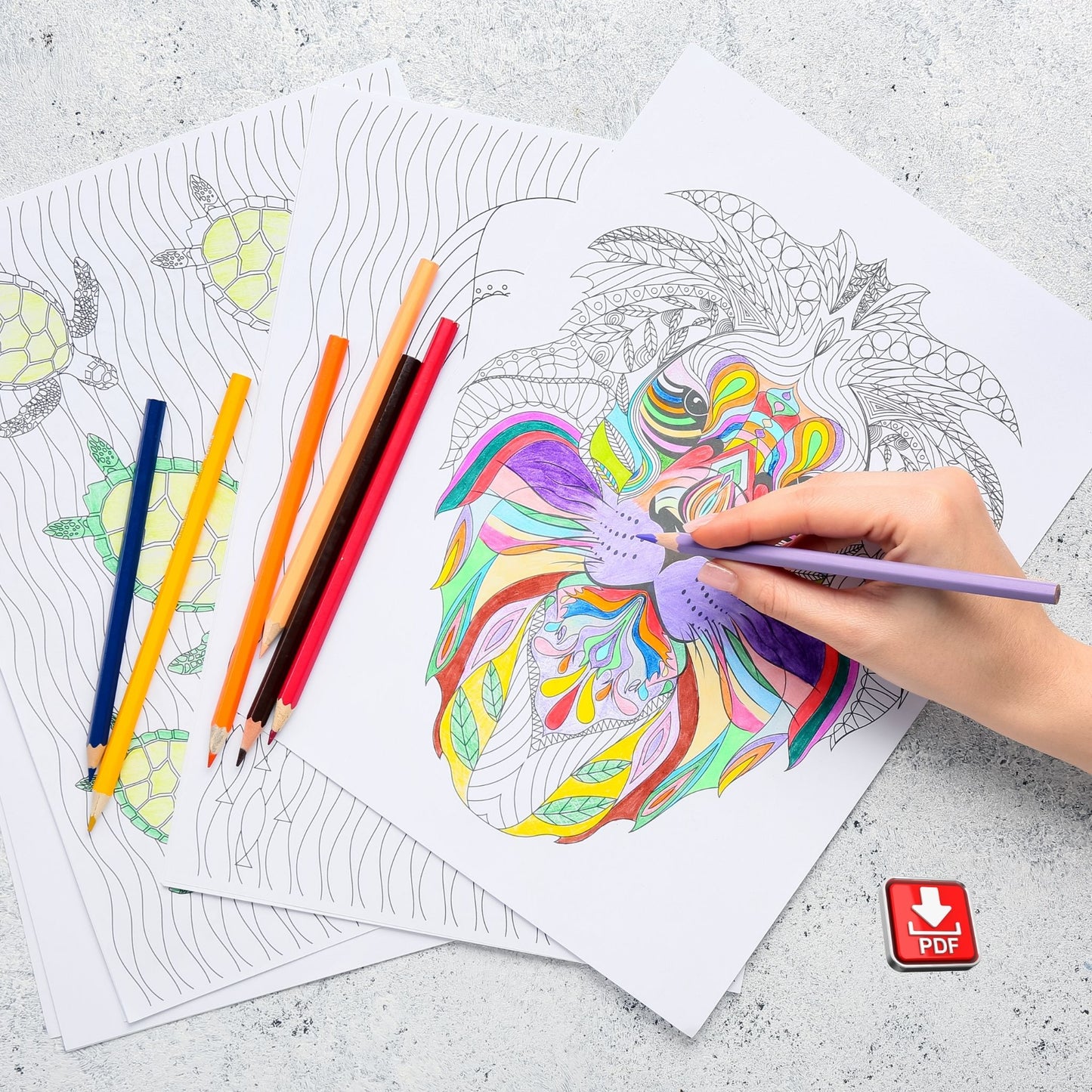 Colouring Pages Bundle – 37 Printable Designs for All Ages