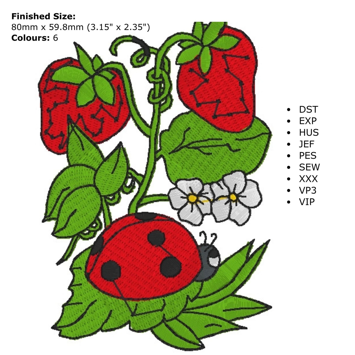Insect Machine Embroidery Designs - Fun & Whimsical | Instant Download