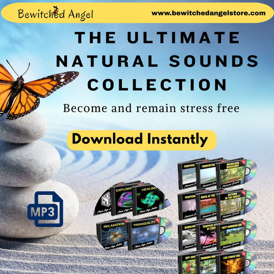 Natural Ambient Sounds MP3
